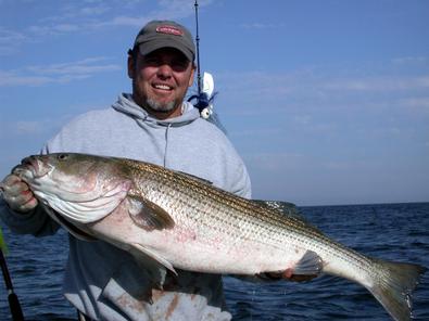 MARICA II - Sportfishing the Chesapeake Bay's Point Lookout area